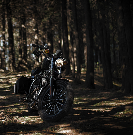 Harley Davidson Iron 883, Estado de México, México.