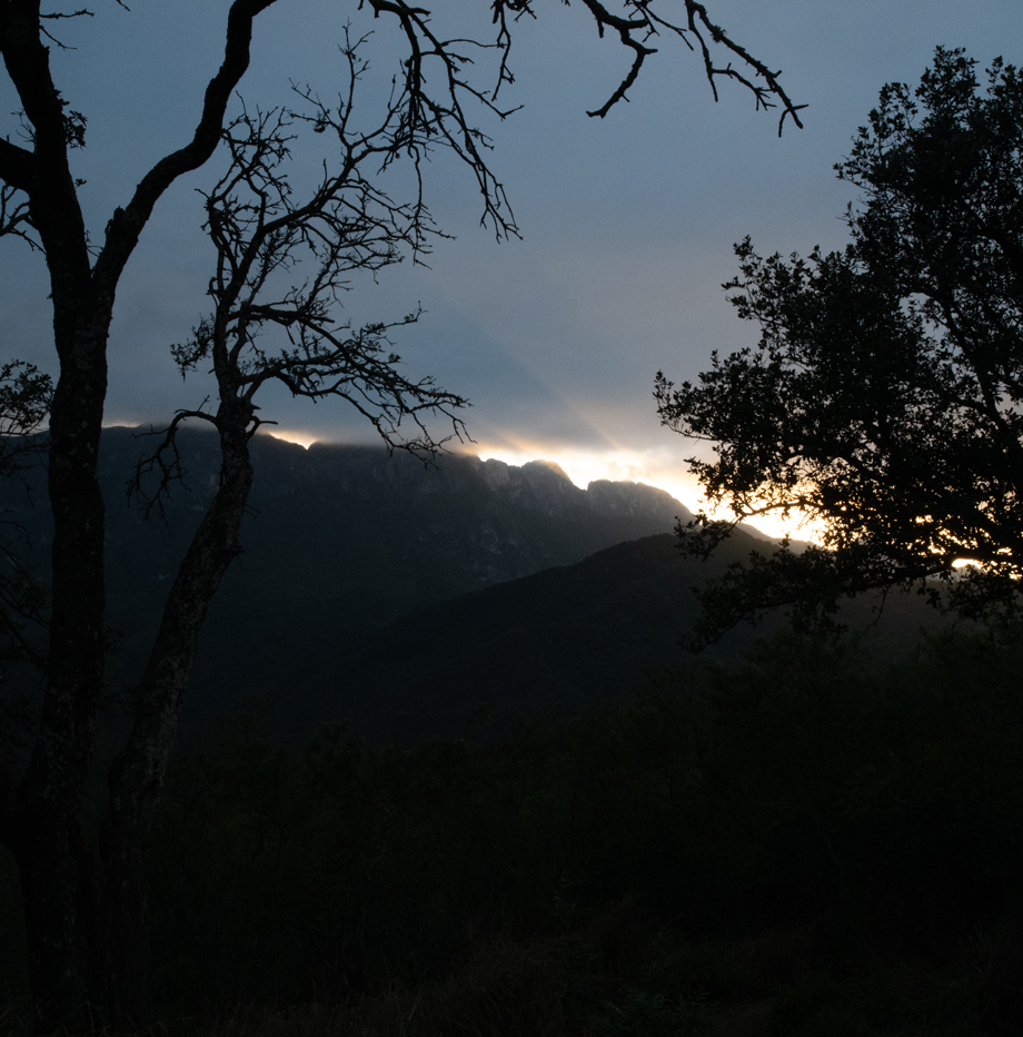 Sierra Madre Oriental, México.